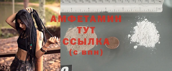 индика Балабаново