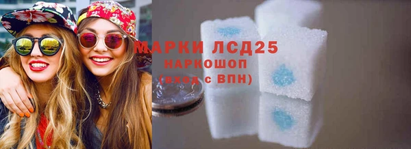 индика Балабаново