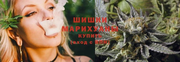 индика Балабаново